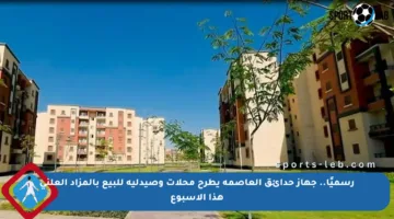 رسميًا.. جهاز حدائق العاصمة يطرح محلات وصيدلية للبيع بالمزاد العلني هذا الأسبوع